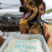 JD! It's your birthday!