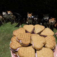 Woofles