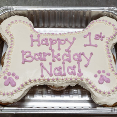 nala-bday-2012-001