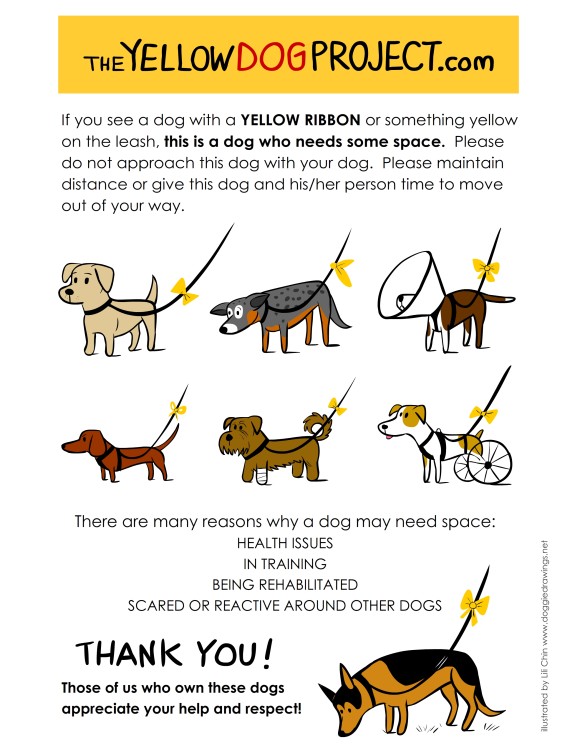 the yellow dog project
