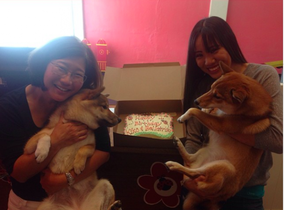 Kiko and Bellatrix celebrating their birthday at Pets in the City!