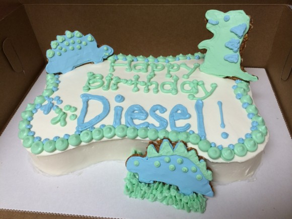 dinosaur doggie cake diesel