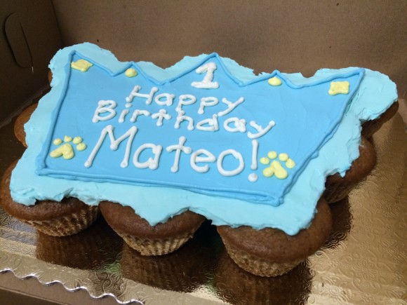 Crown Mutt Muffin Cake - Mateo - 3