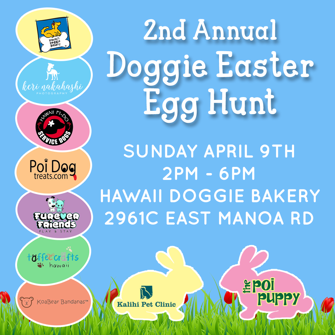 Easter Egg Hunt For Dogs