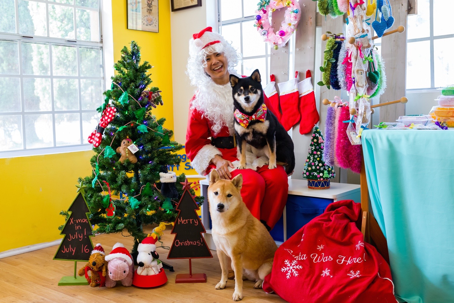 Santa Claus is coming - Hawaii Doggie Bakery - Katsumi and Kuri Firefox - Christmas in July