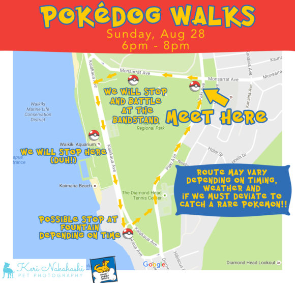 Pokedog-Walks-Map