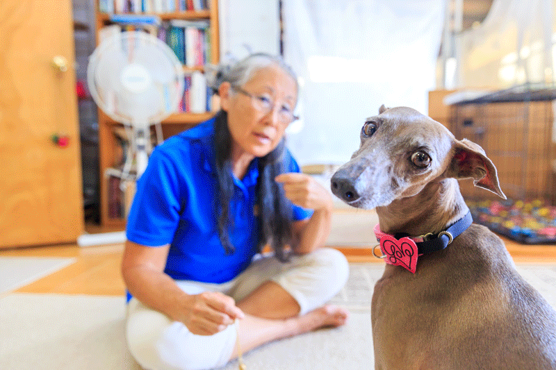 Remembering Eileen Abe, Animal Communicator | Hawaii Doggie Bakery